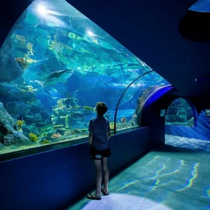 Visita al Acuario