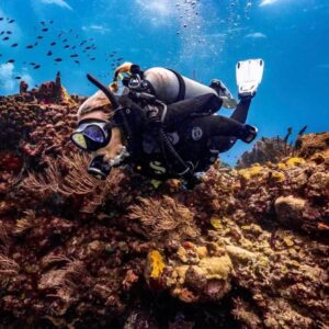 Scuba Diving en Coin de Mire Island