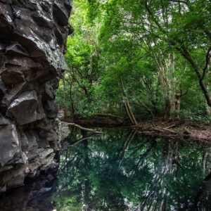 Visita a Black River Gorges National Park